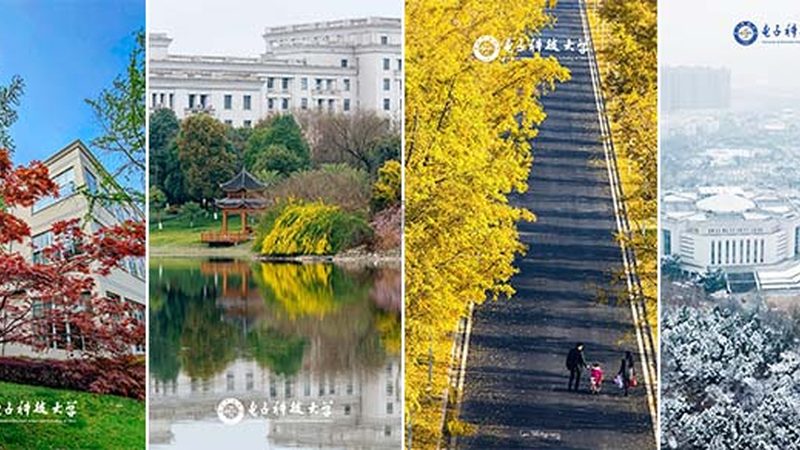 电子产品出口欧洲流程步骤